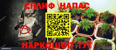 мет Кандалакша