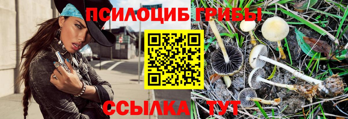 Псилоцибиновые грибы прущие грибы  Галлюциногенные грибы прущие грибы  даркнет сайт  Вход с VPN  Якутск 